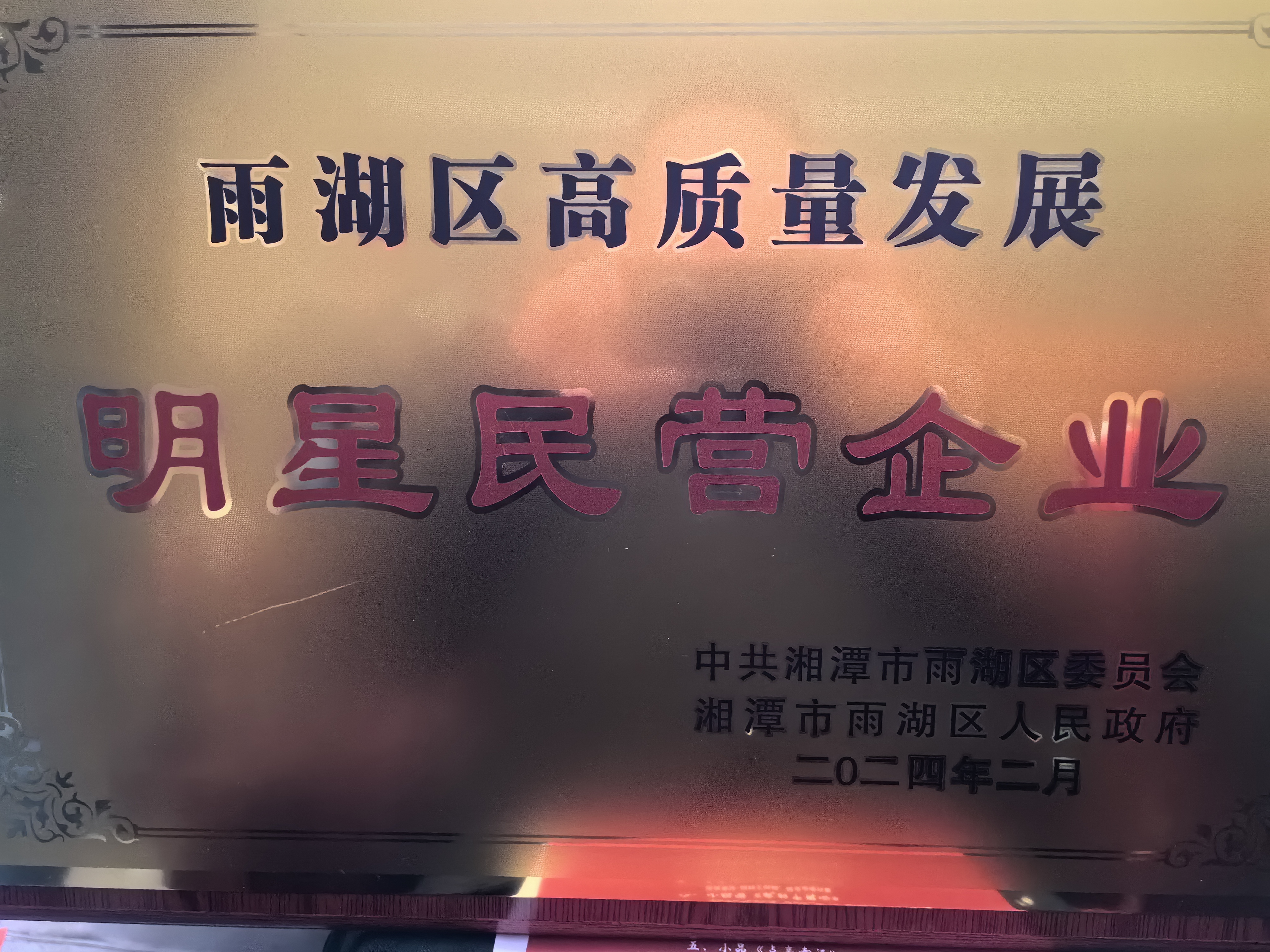 德赢在线注册荣获“雨湖区高质量发展明星民营企业”称号